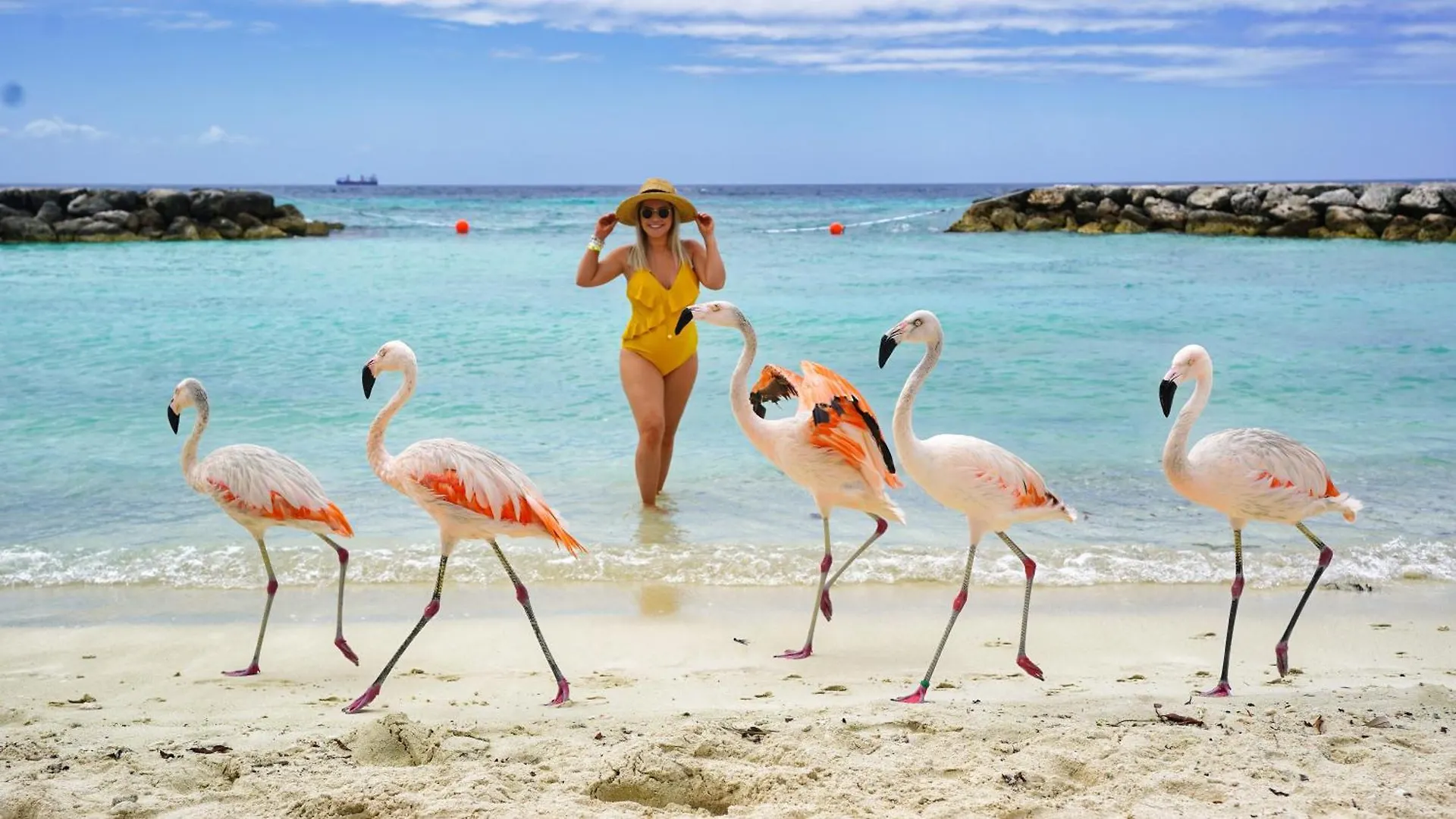 Ferienhaus Villa Pekinini 15 Santa Cruz Aruba